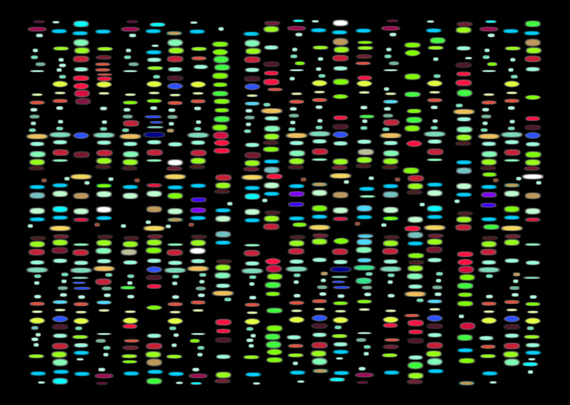 DNA mapping grid DNA mapping grid