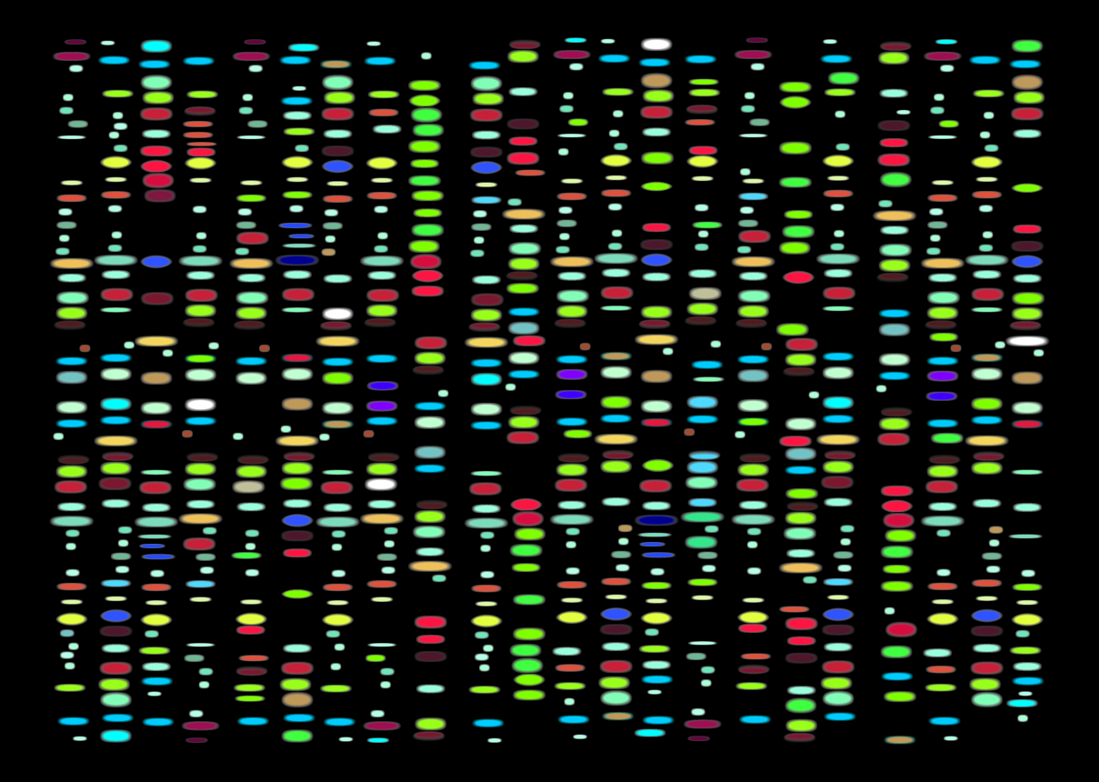 DNA mapping grid