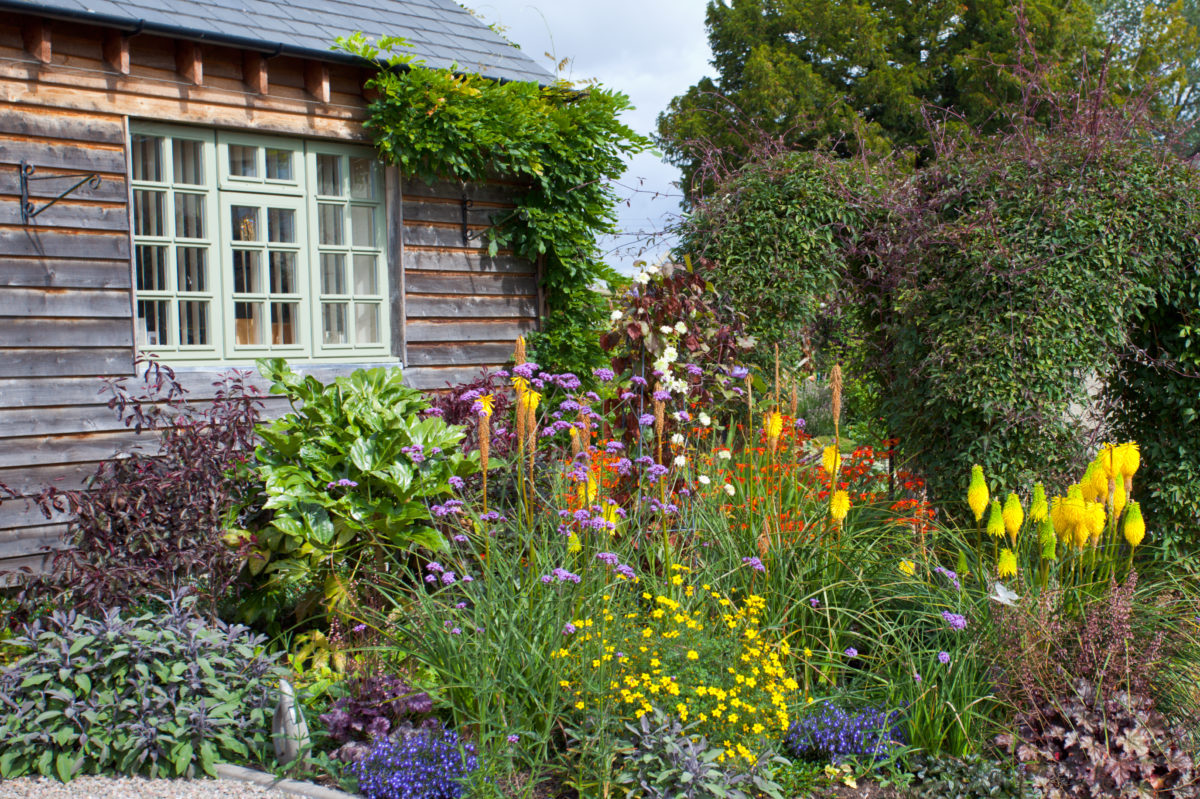 low maintenance plants low maintenance plants